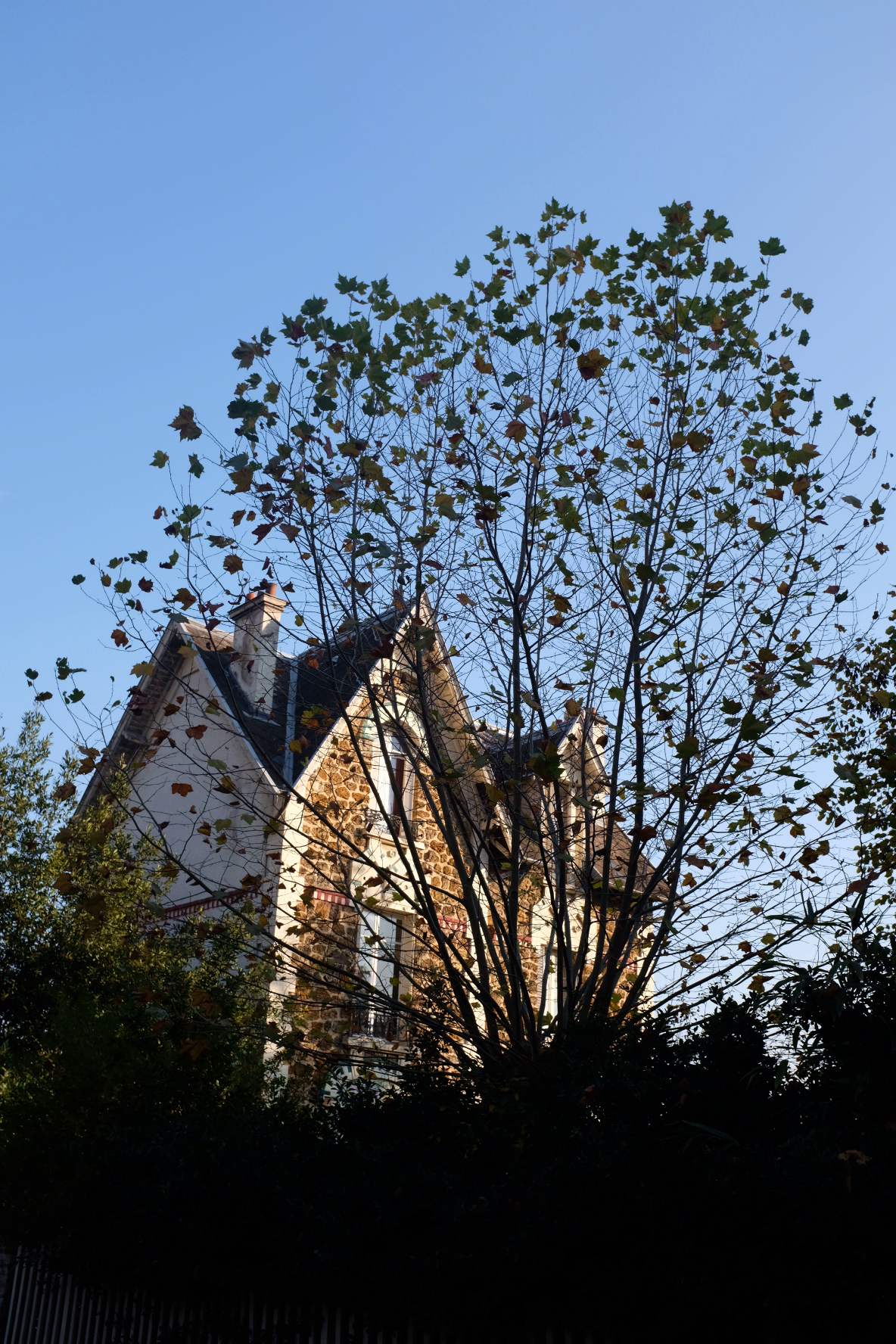 Urbanhouse360-La-Seine-Auberge-Rueilloise