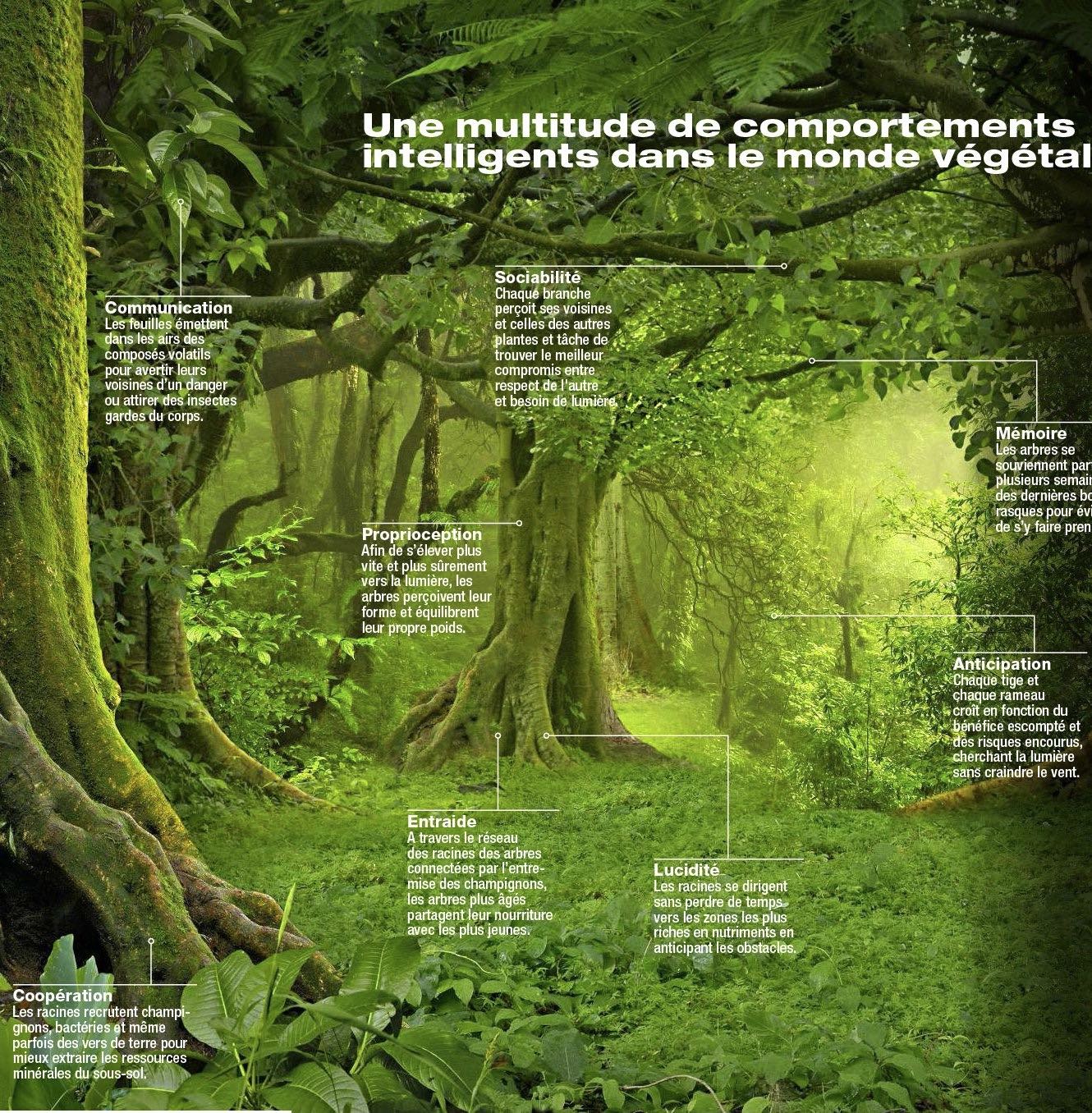 Urbanhouse360-Les-Plantes-Parlent