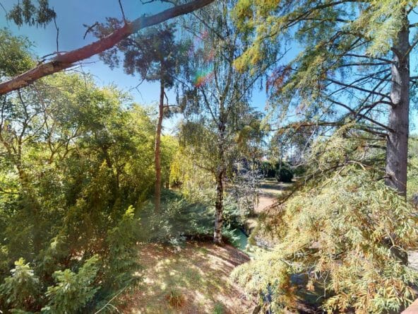 Le-Manoir-de-Plantaurel-Le-Parc(1)