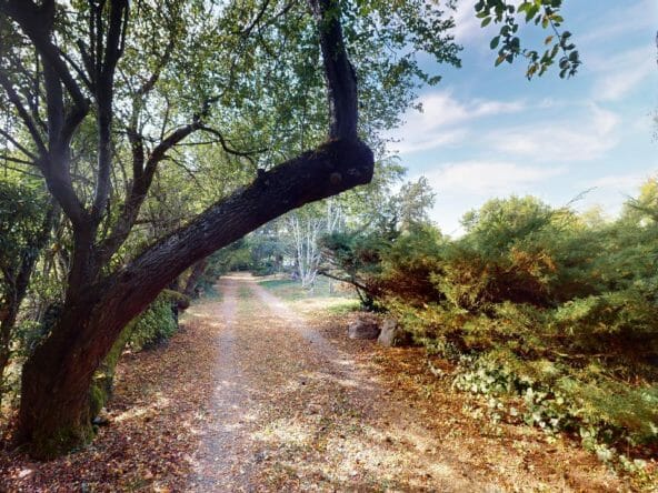 Le-Manoir-de-Plantaurel-lechemin