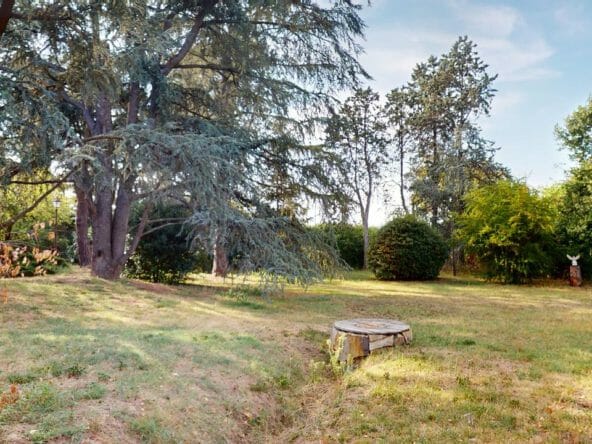 Le-Manoir-de-Plantaurel-leparc-puit