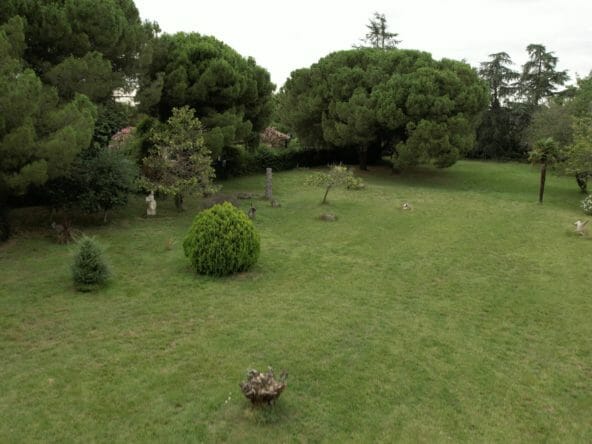 Domaine-Plantaurel-Parc-arrière